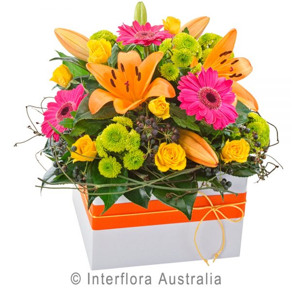 Bright and Colourful Large Box Arrangement Myrtleford