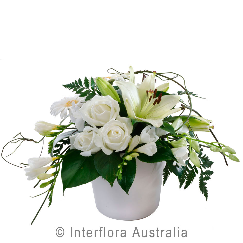 White Flower Arrangement in Ceramic Container Myrtleford